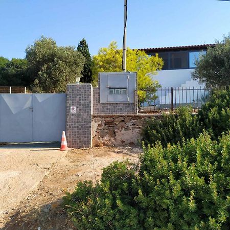 Cap Sounion Seafront Apartments -Adults Only Buitenkant foto