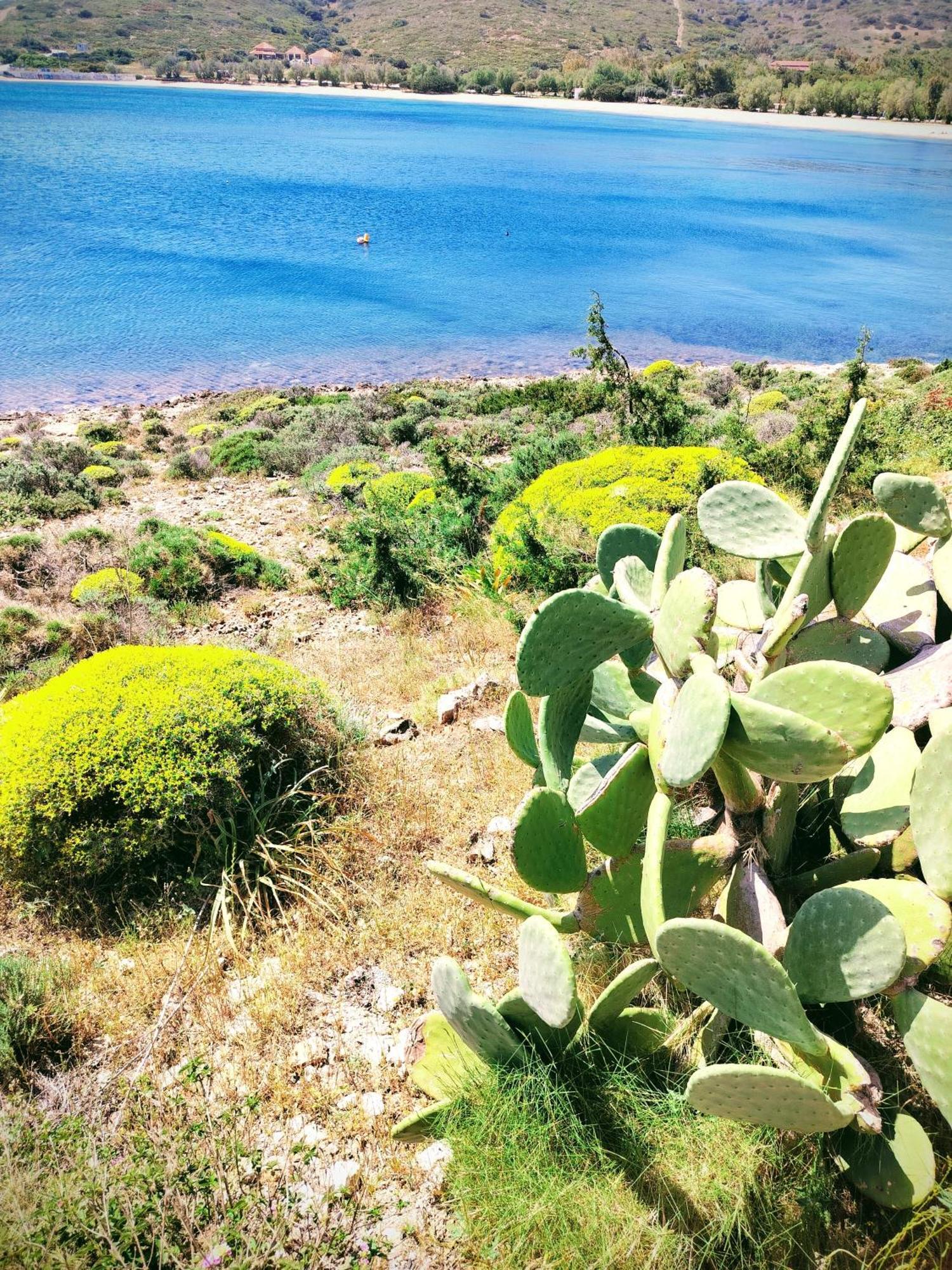Cap Sounion Seafront Apartments -Adults Only Buitenkant foto