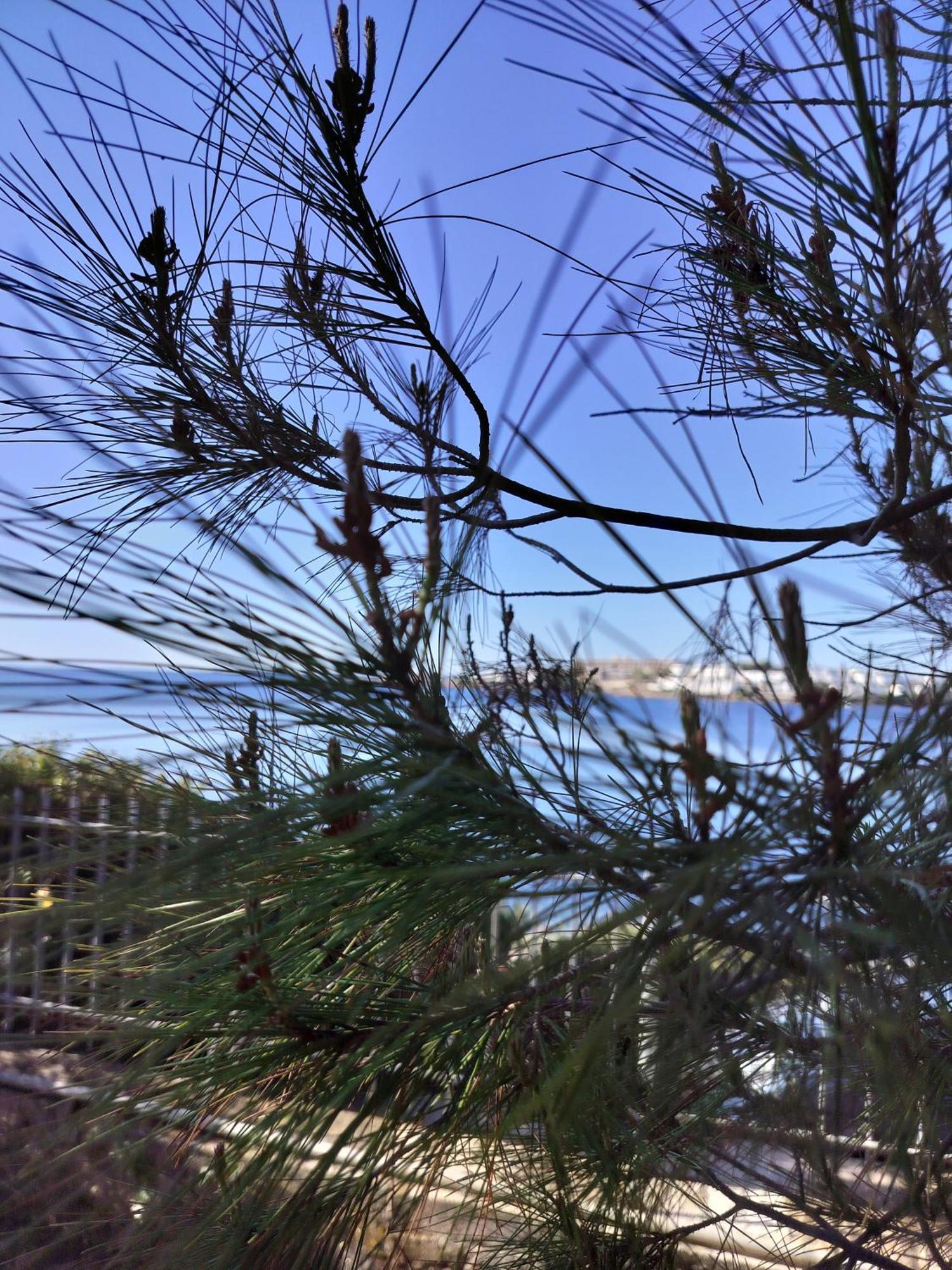 Cap Sounion Seafront Apartments -Adults Only Buitenkant foto
