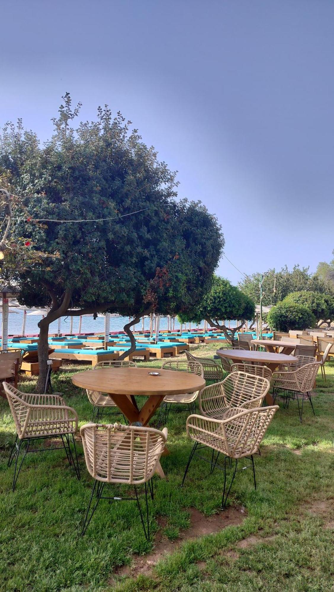 Cap Sounion Seafront Apartments -Adults Only Buitenkant foto