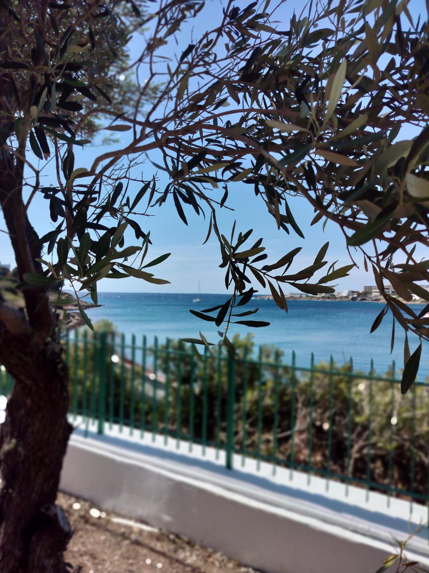Cap Sounion Seafront Apartments -Adults Only Buitenkant foto