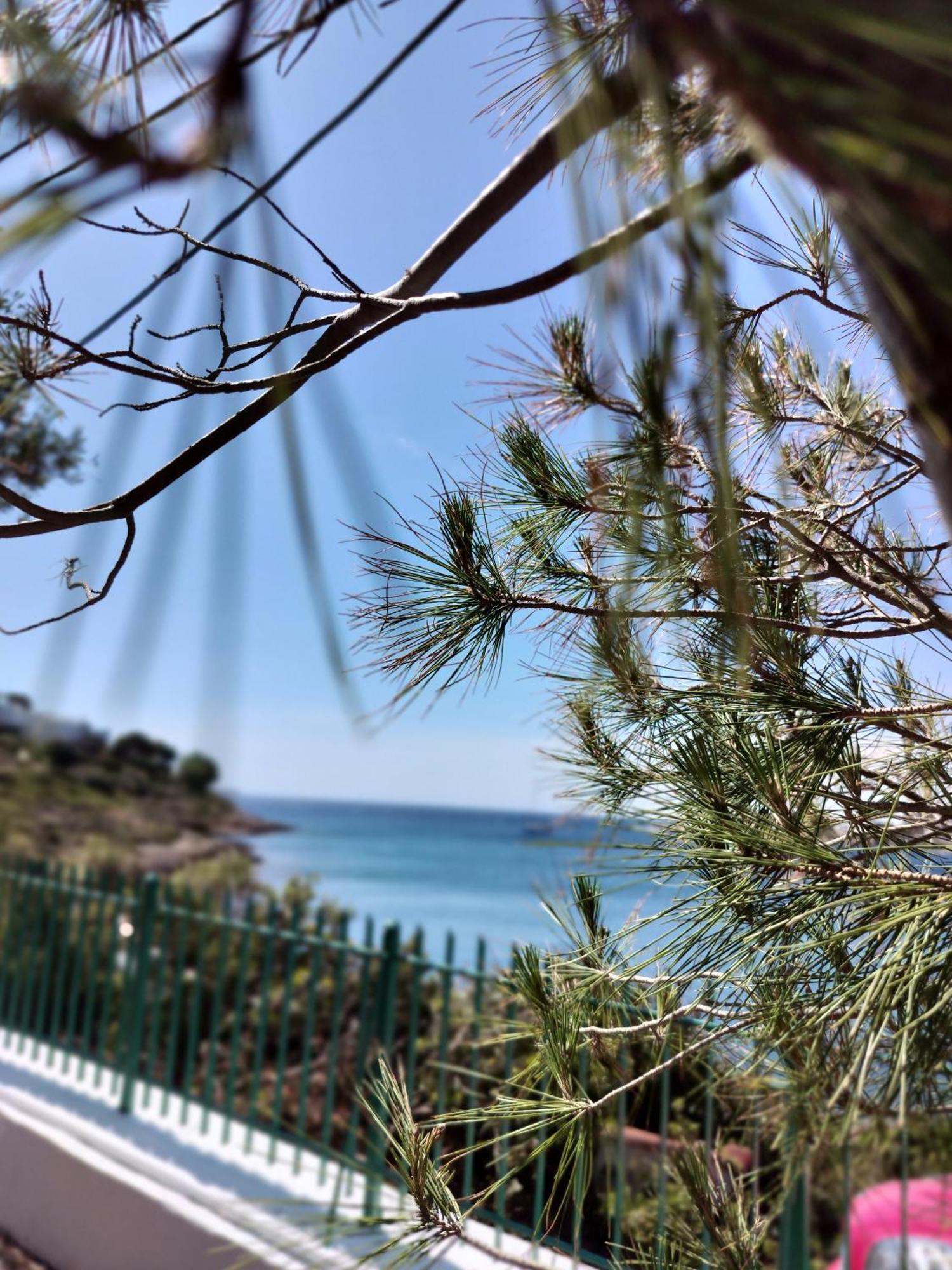 Cap Sounion Seafront Apartments -Adults Only Buitenkant foto